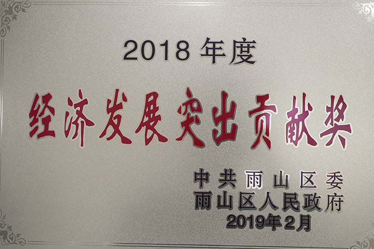 2018年度榮獲經（jīng）濟發展突出貢獻獎（jiǎng）