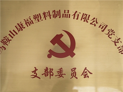 支（zhī）部委員會